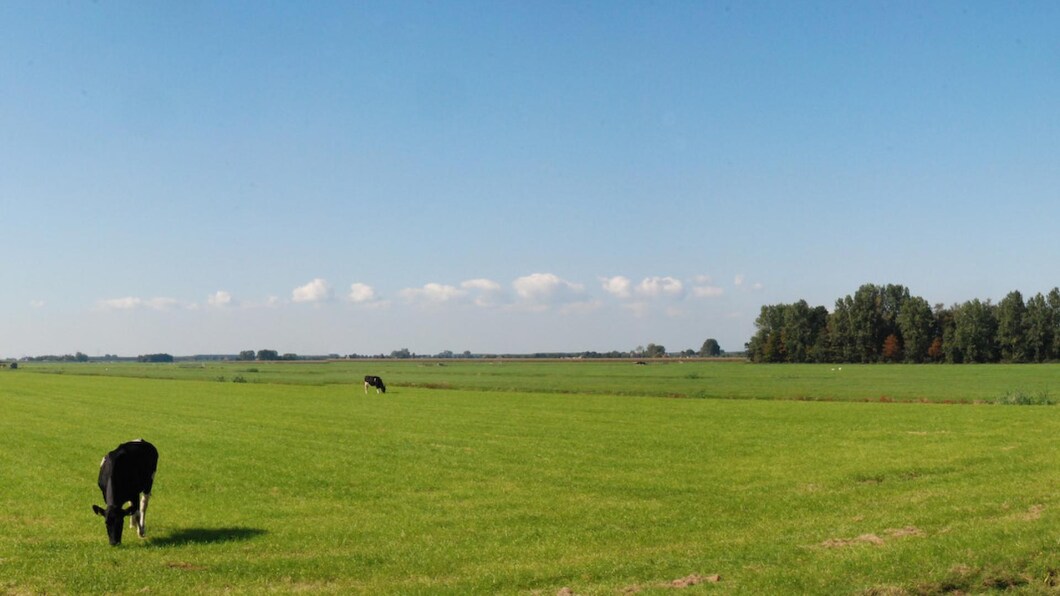 open landschap
