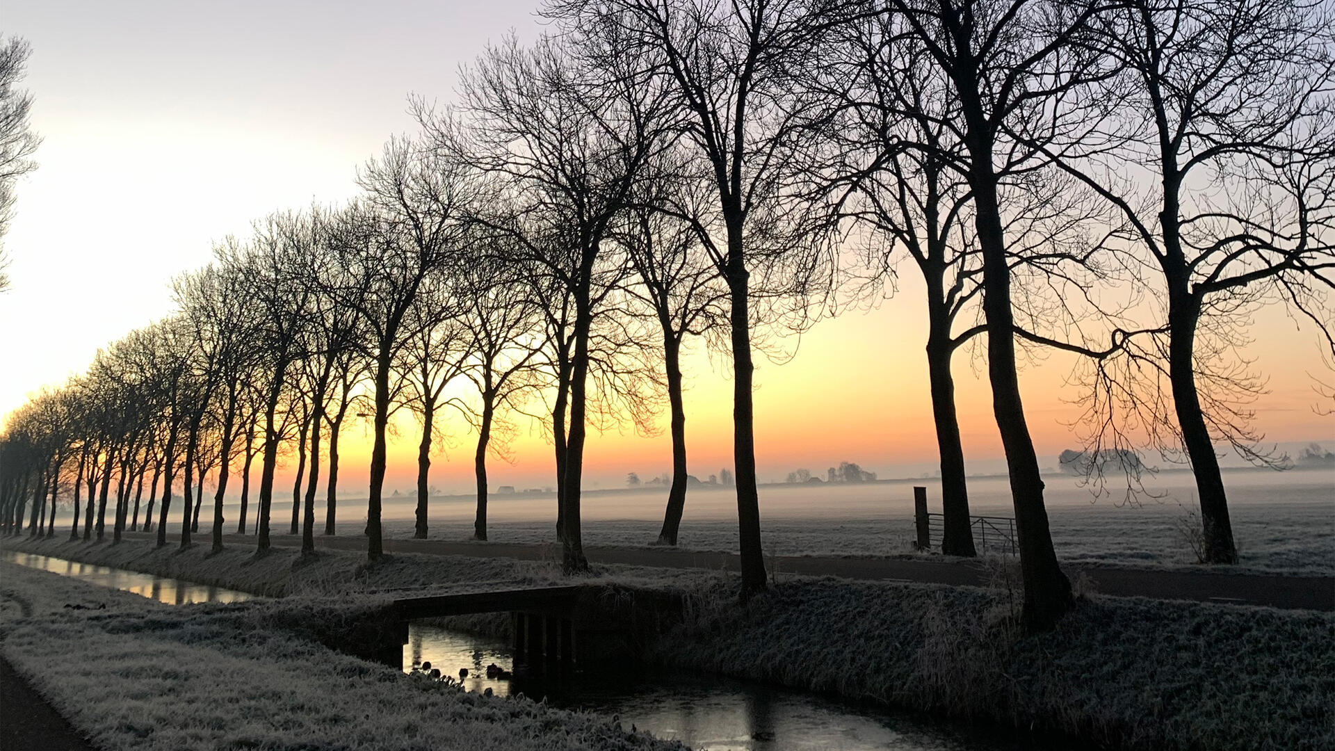 Herfst Purmer