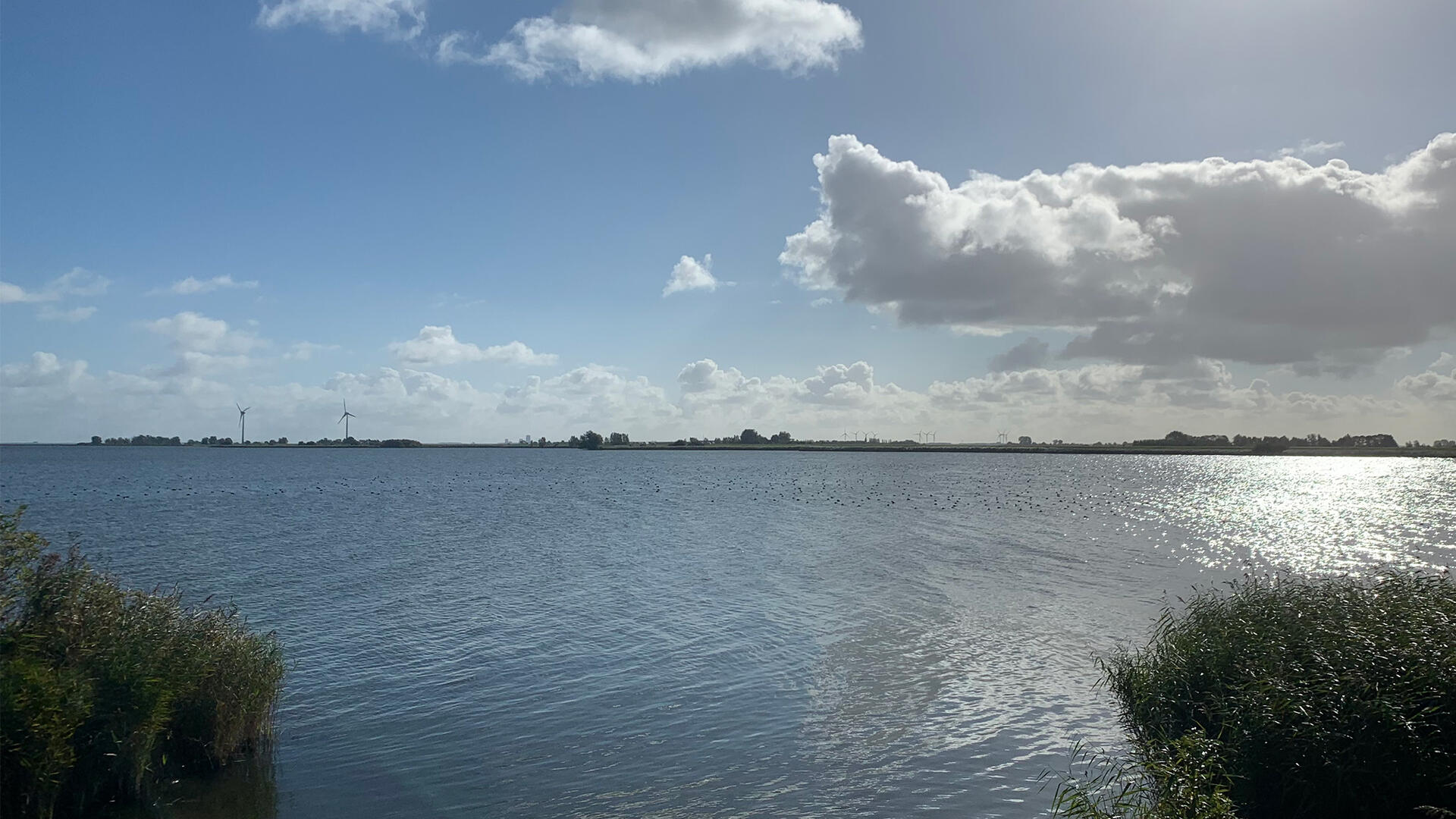 Waterlandse Zeedijk, zicht op de Nes